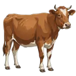 THE VELVET PEPPER-BEEF